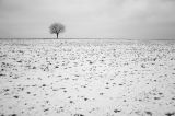 201401251231-AJ000130.jpg